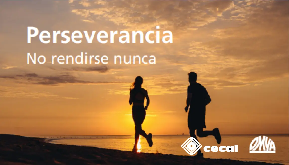 cecal15