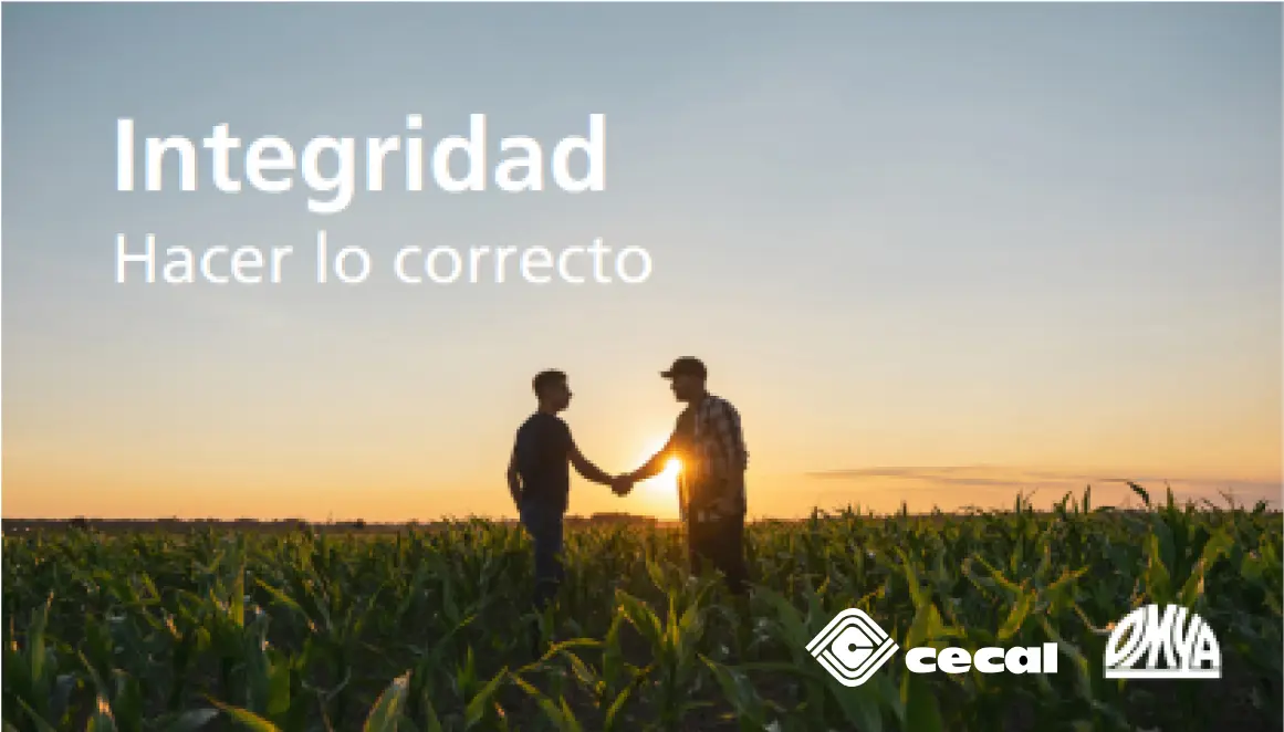 cecal16