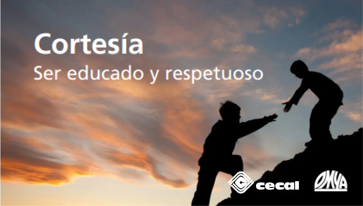 cecal17